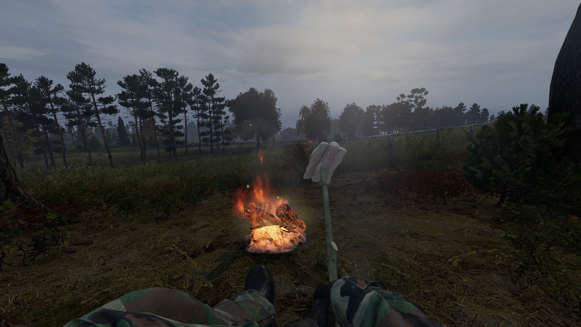 Jak si založit vlastní DayZ server