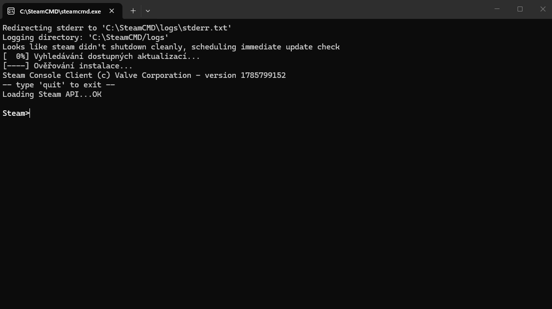 Okno SteamCMD připravené k zadání příkazů